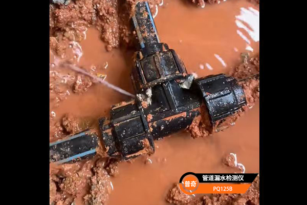 普奇PQ125B漏水检测仪