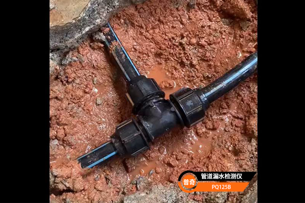 普奇PQ125B漏水检测仪