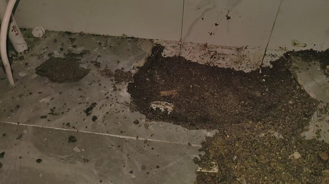 使用检测水管漏水的定位器准确地找出漏水问题