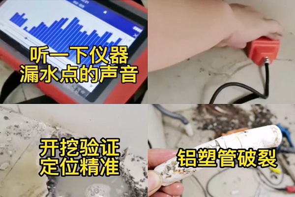 漏水检测仪