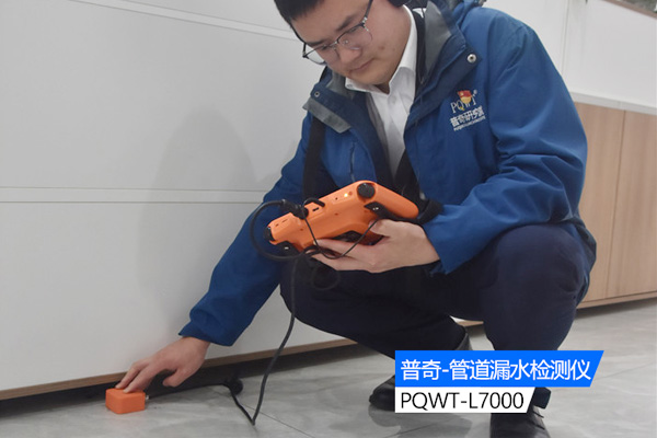 电子测漏仪