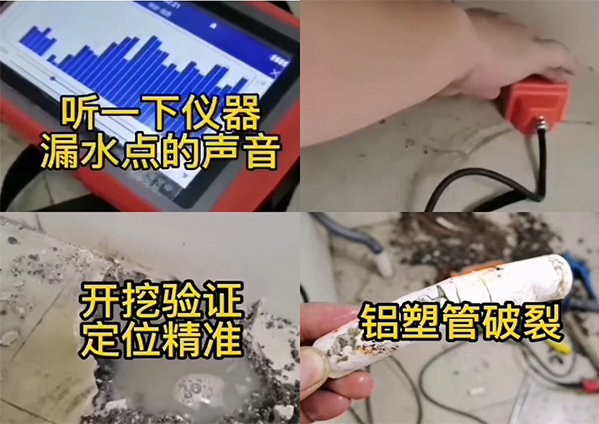 漏水检测仪