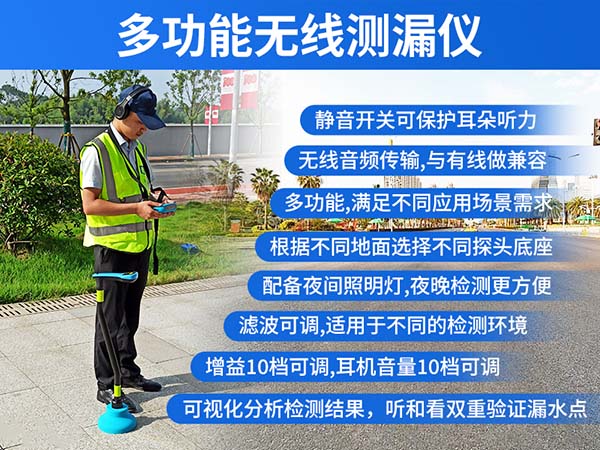 普奇BT30无线漏水检测仪（声震+气体+寻管）