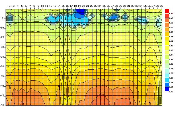 堤坝动物掏洞隐患